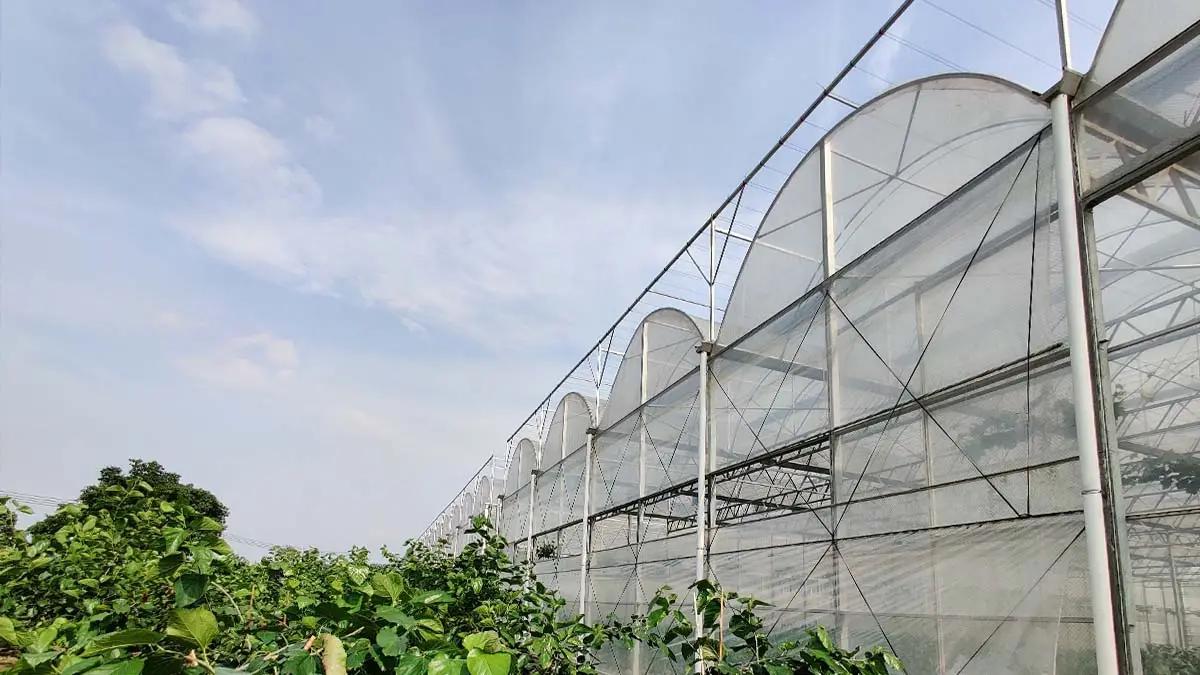 Supplier