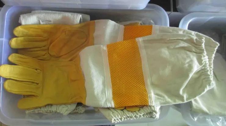 Shenzhen Benefitbee Bee Industry Co., Ltd.