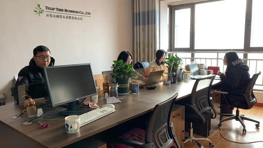 Shijiazhuang Tulip Tree Business Co., Limited