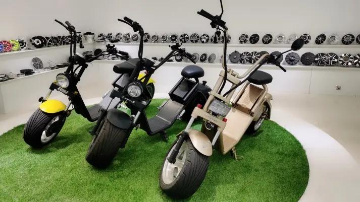 Zhejiang Luqi Intelligent Technology Co., Ltd.