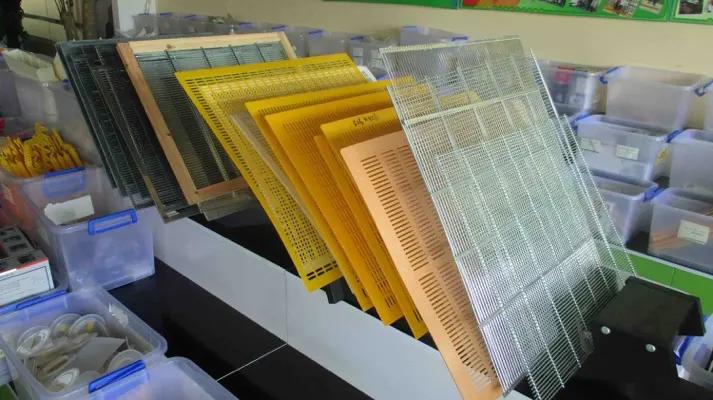 Shenzhen Benefitbee Bee Industry Co., Ltd.