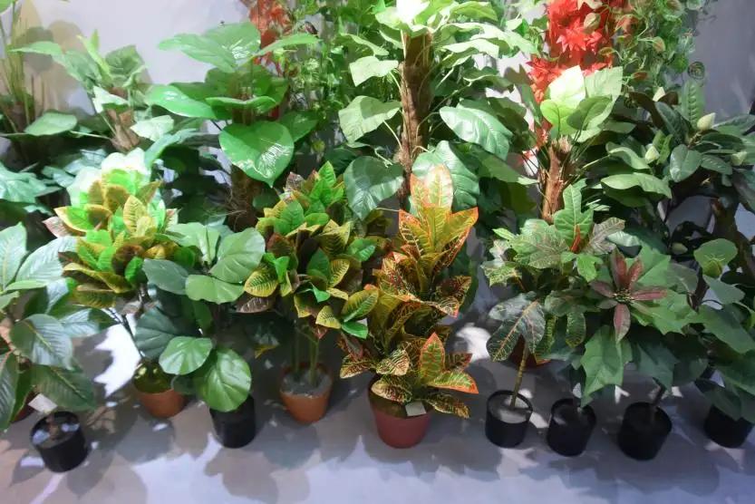 Shantou Tizen Homeware Co., Ltd.