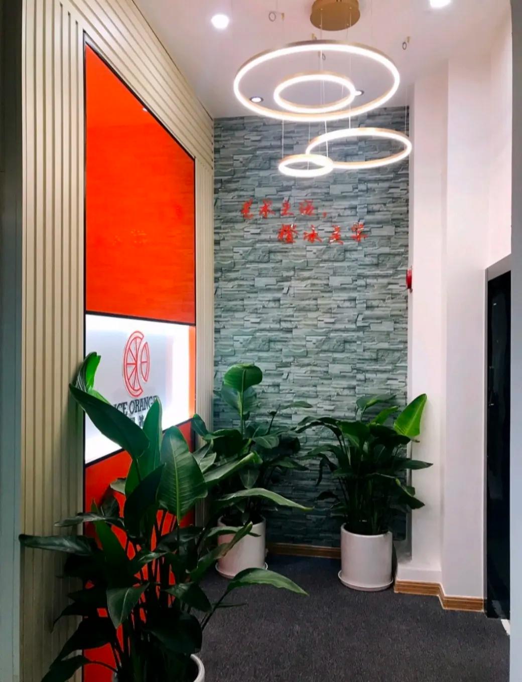Fuzhou Ice Orange Aesthetic Home Art Co., Ltd.