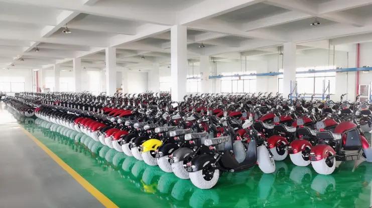 Zhejiang Luqi Intelligent Technology Co., Ltd.