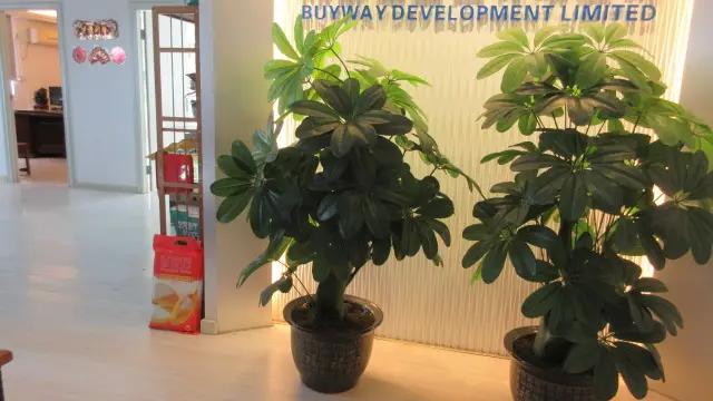 Jiangmen City Buyway Development Limited