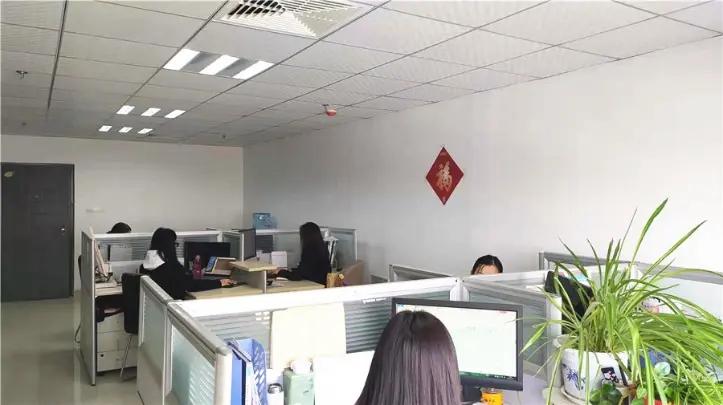 Shandong Grandmore Enterprise Development Co., Ltd.