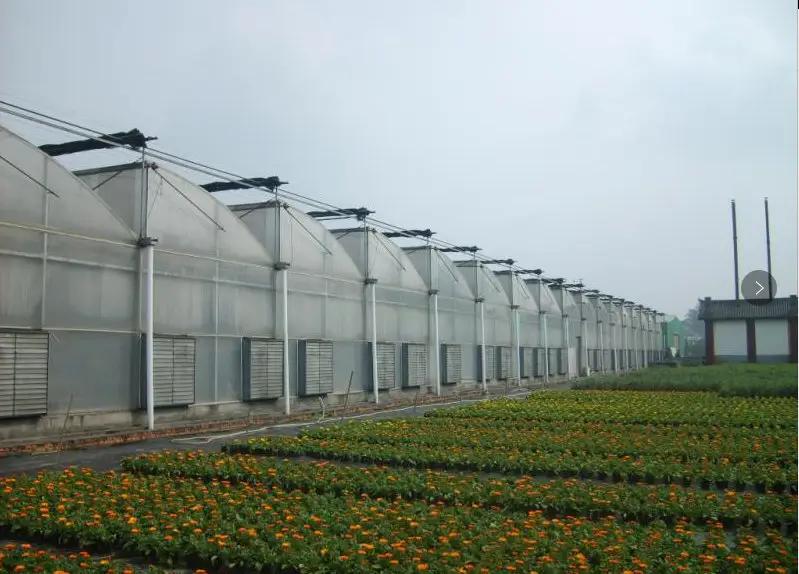 Supplier