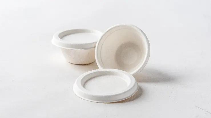 Supplier