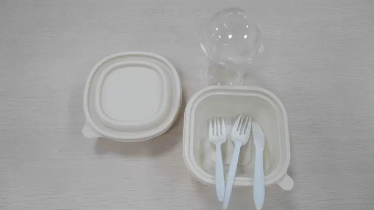 Supplier