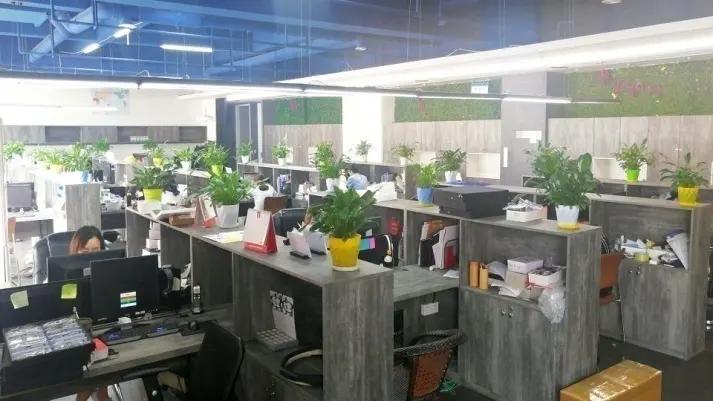 Wenzhou Kangjing Optics Co., Ltd.