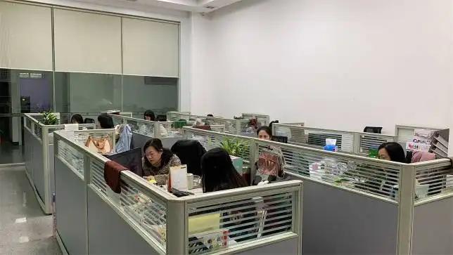 Bright Spring Trading Ltd. Shantou Chenghai