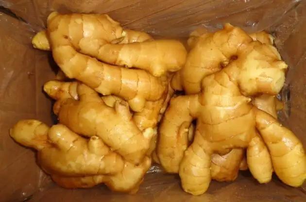 Jining Optimum Fruits & Vegetables Co., Ltd.