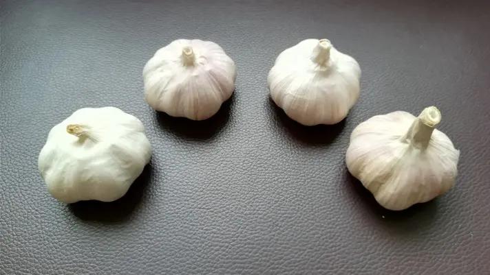 Jining Fenduni Foodstuff Co., Ltd.