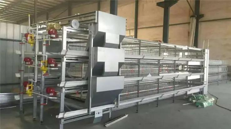 Hebei Ruikang Animal Husbandry Equipment Co., Ltd.