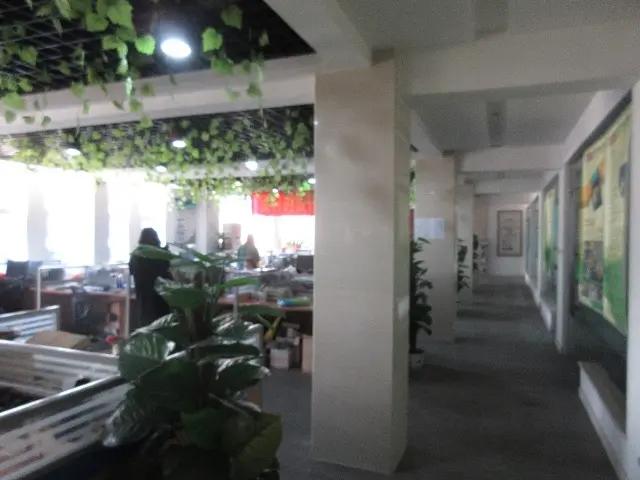 Wujiang City Shenta Hengfeng Hardware & Plastic Products Factory
