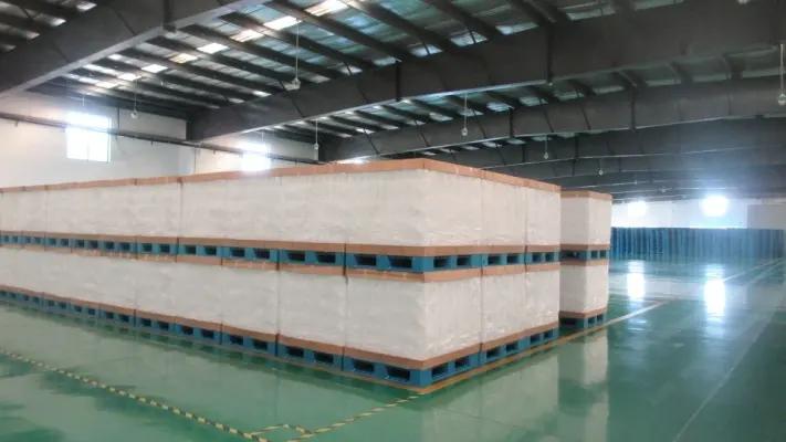 Shanghai Blopak Co., Ltd.