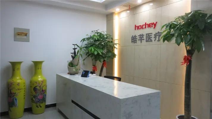 Hochey Medical Co., Ltd.