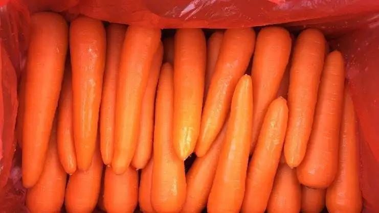 Shandong Sinofarm Food Co., Ltd.