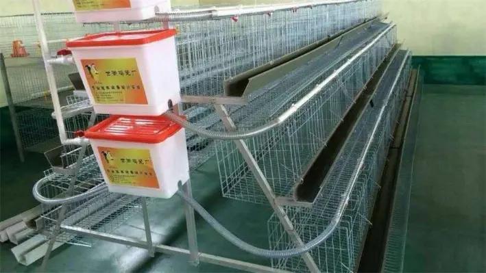 Hebei Ruikang Animal Husbandry Equipment Co., Ltd.