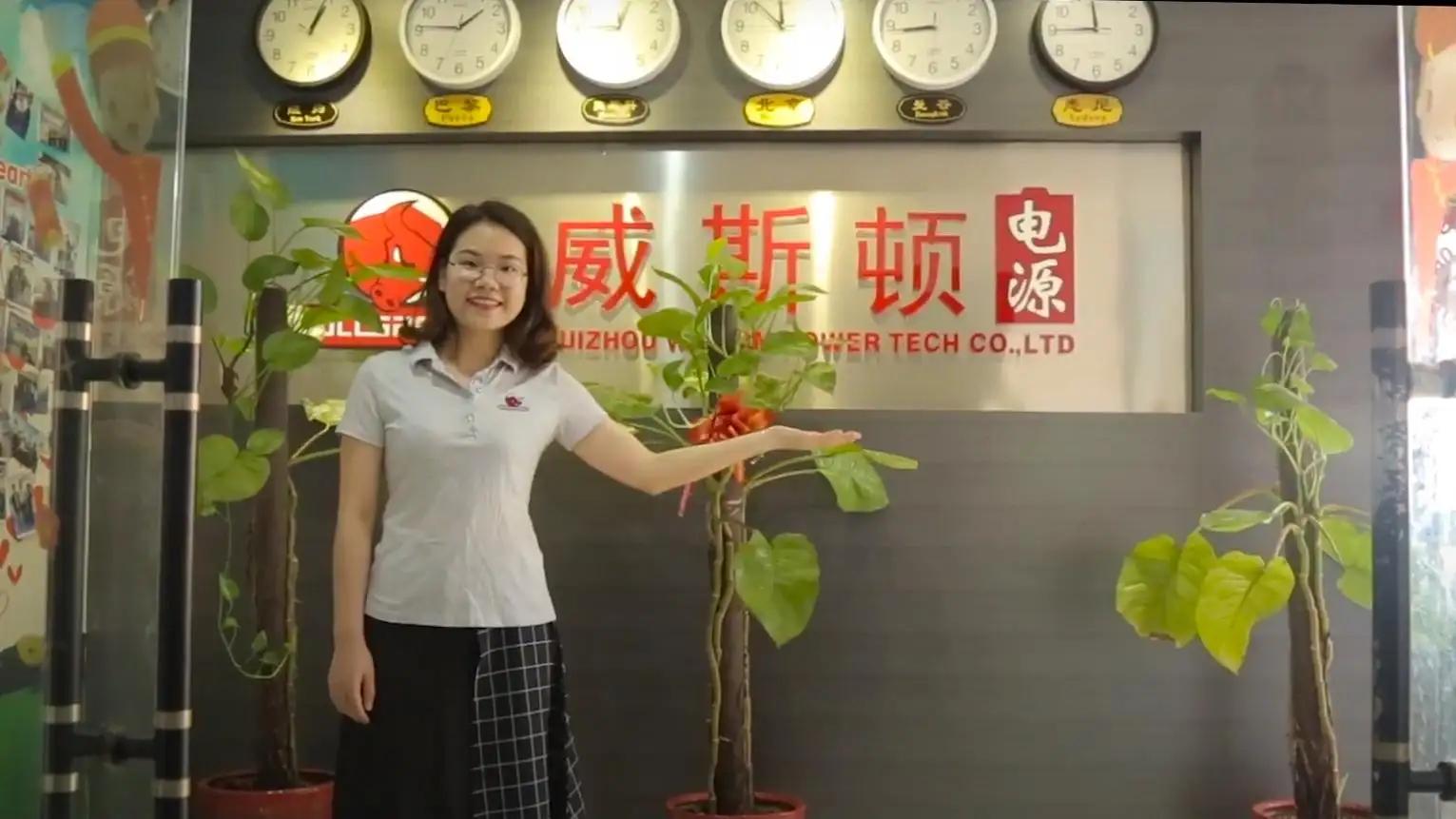 Huizhou Wisdom Power Technology Co., Ltd.