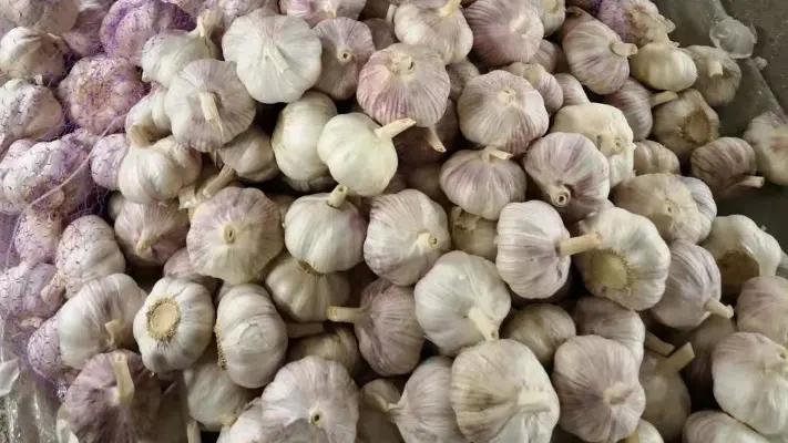 Jining Fenduni Foodstuff Co., Ltd.