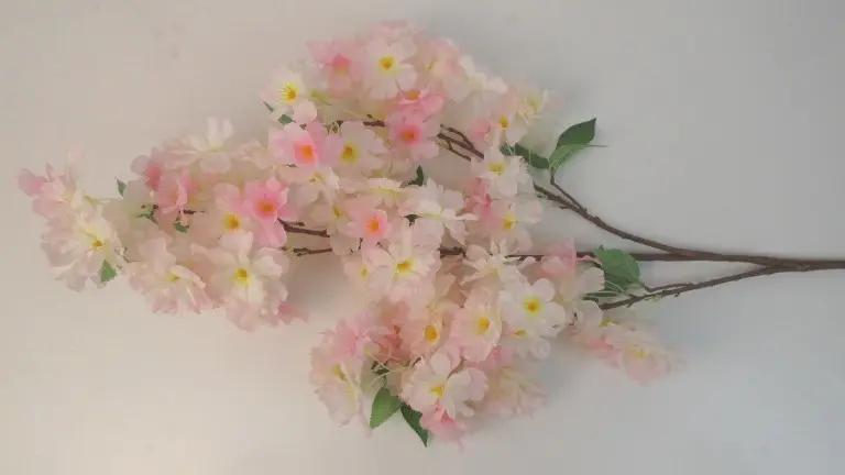 Chongqing Kexinnuo Imp & Exp Trading Co., Ltd.