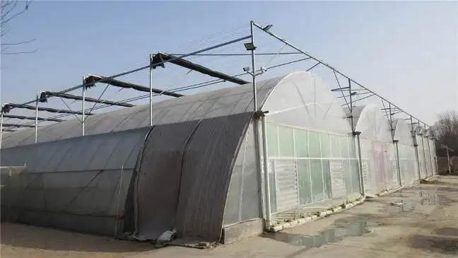 Supplier