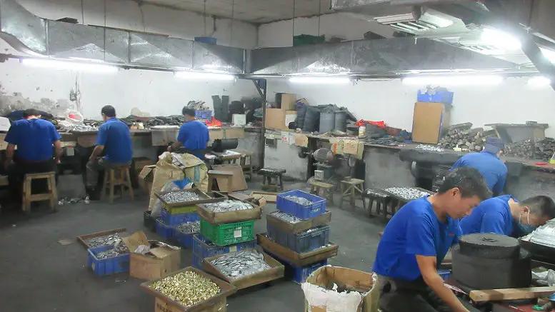 Supplier