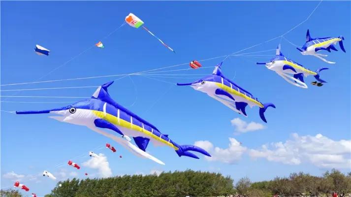 Weifang Kaixuan Kite Manufacture Co., Ltd.