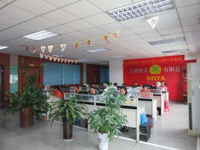 Dongguan Sinya Industrial Co., Ltd.
