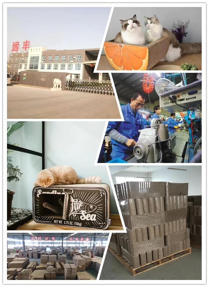Hebei Yuanfeng Import And Export Trading Co., Ltd.