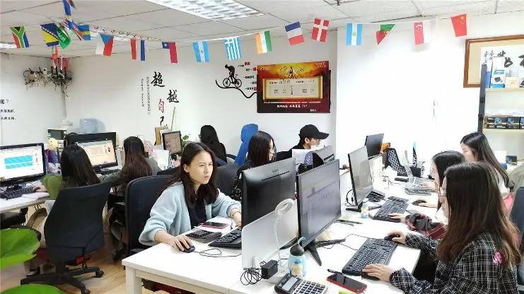 Shenzhen Yagelong Technology Co., Ltd.