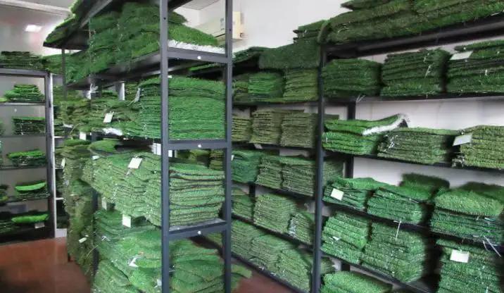 Haining Jiangsen Artificial Grass Co., Ltd.