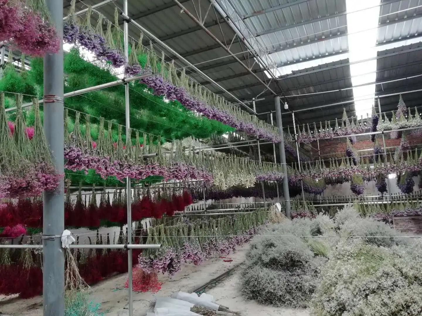 Huizhou Chasewin Decorative Flowers & Crafts Co., Ltd.