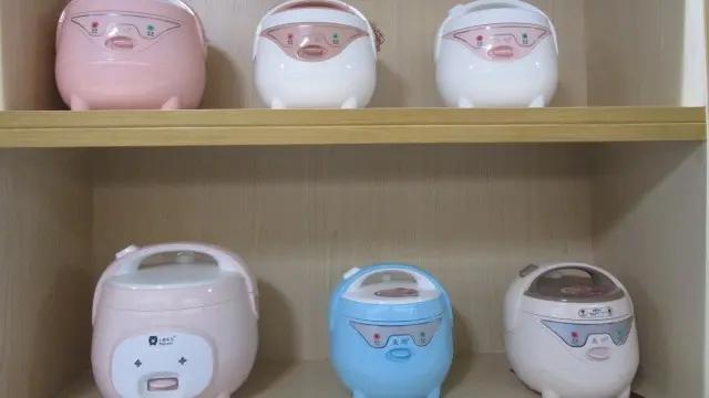 Guangdong Rich Home Appliances Co., Ltd.