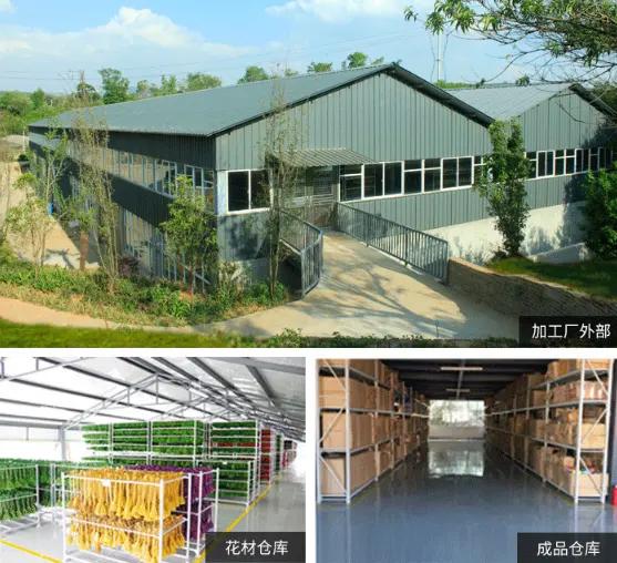 Supplier