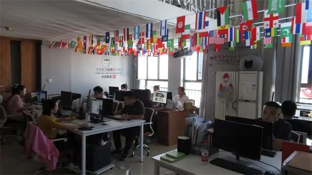 Hebei Dibei Import& Export Trading Co., Ltd.