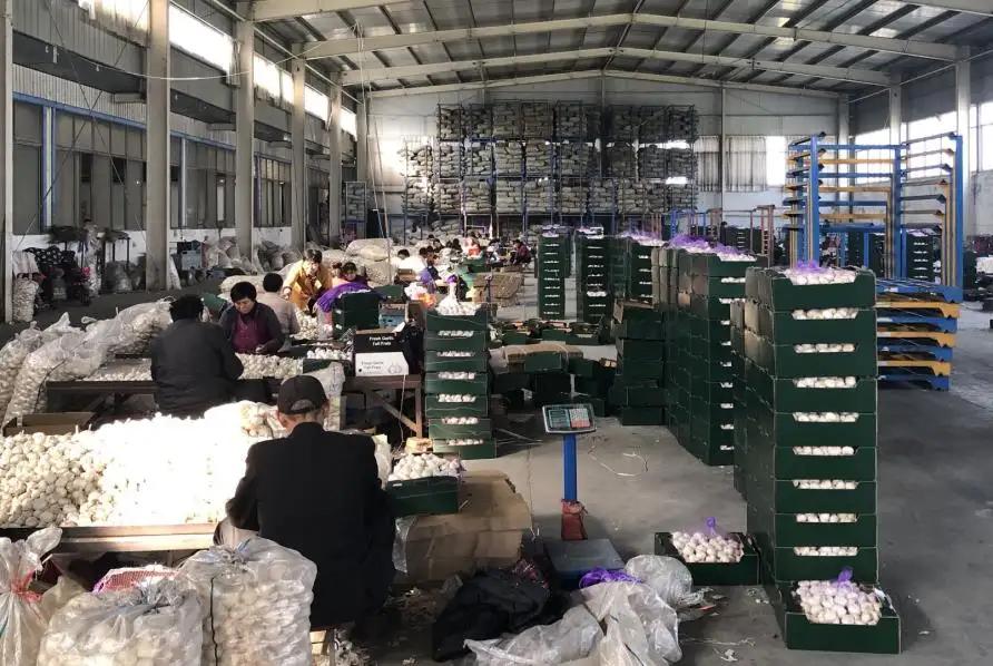 Shandong Sinofarm Food Co., Ltd.