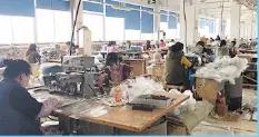 Supplier