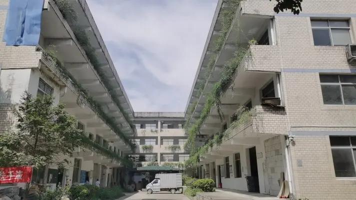 Xianju Zhongyuan Arts And Crafts Factory