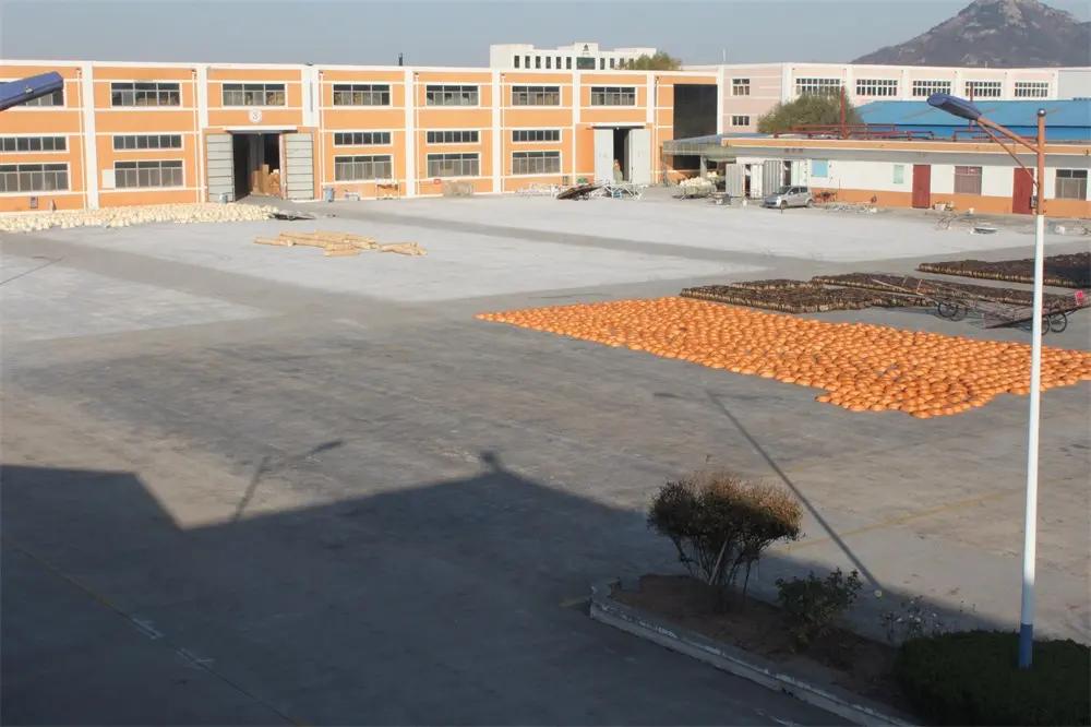 Linshu Yiran Home Arts & Crafts Co., Ltd.