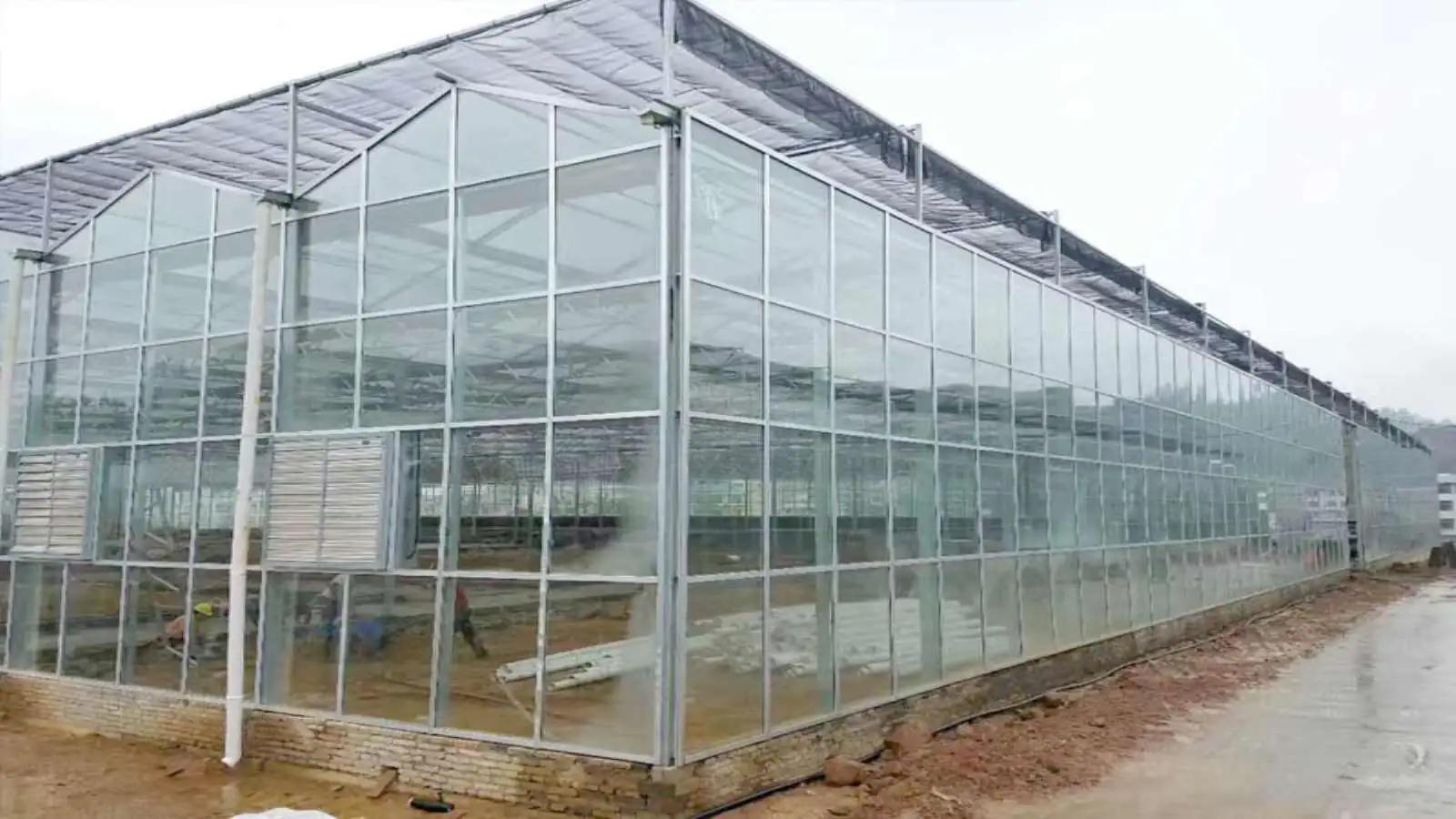 Supplier