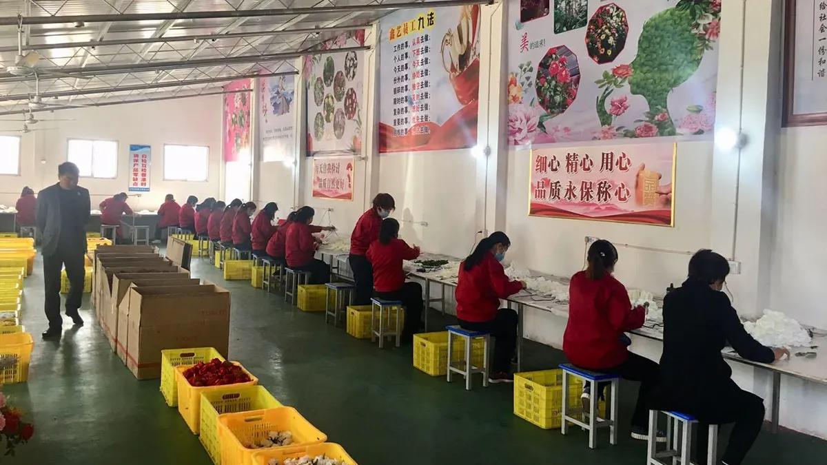 Yiwu Hongying Arts & Crafts  Co.,Ltd.