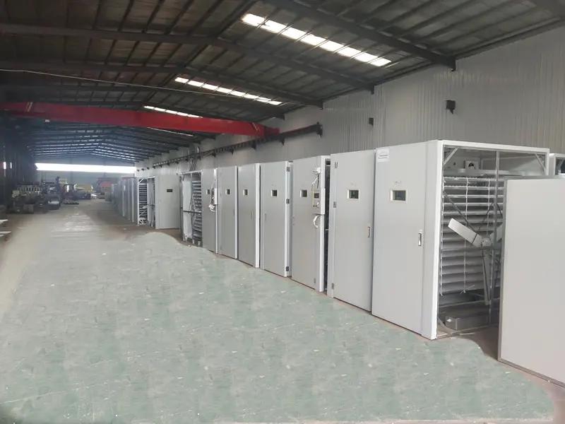 Dezhou Sunton Import&export Co., Ltd.