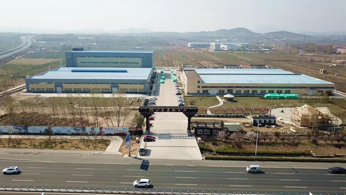 Shandong Dingchi Wood Group Co., Ltd.