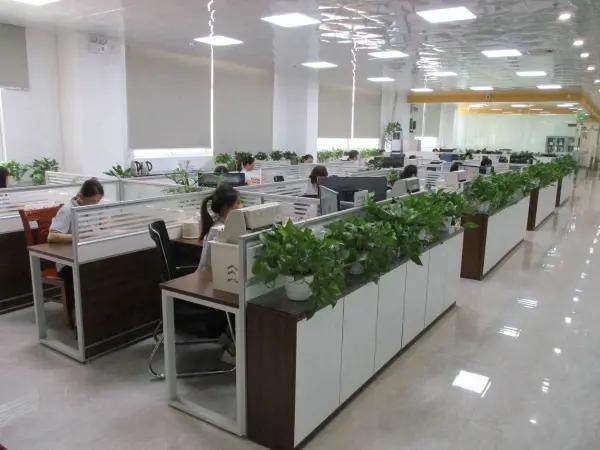Foshan Shunde Saier Sensor Co., Ltd.