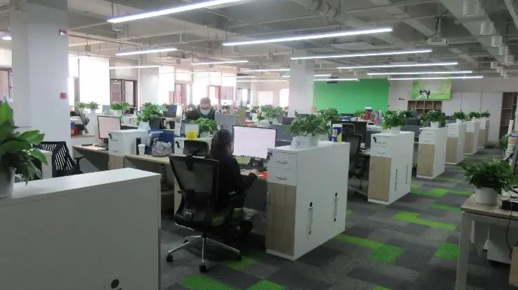 Shanghai Forests Packaging Group Co., Ltd.