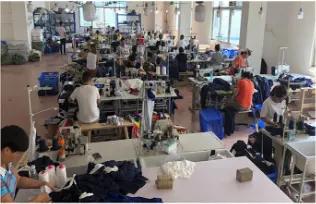 Quanzhou The Way Import & Export Co., Ltd.