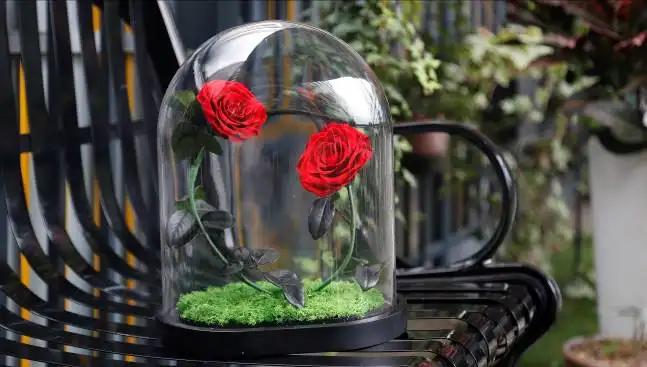 Shilin Hualai Preserved Flowers Co., Ltd.