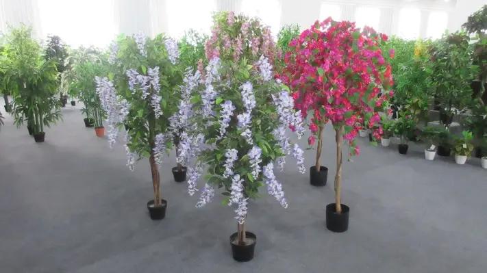 Supplier